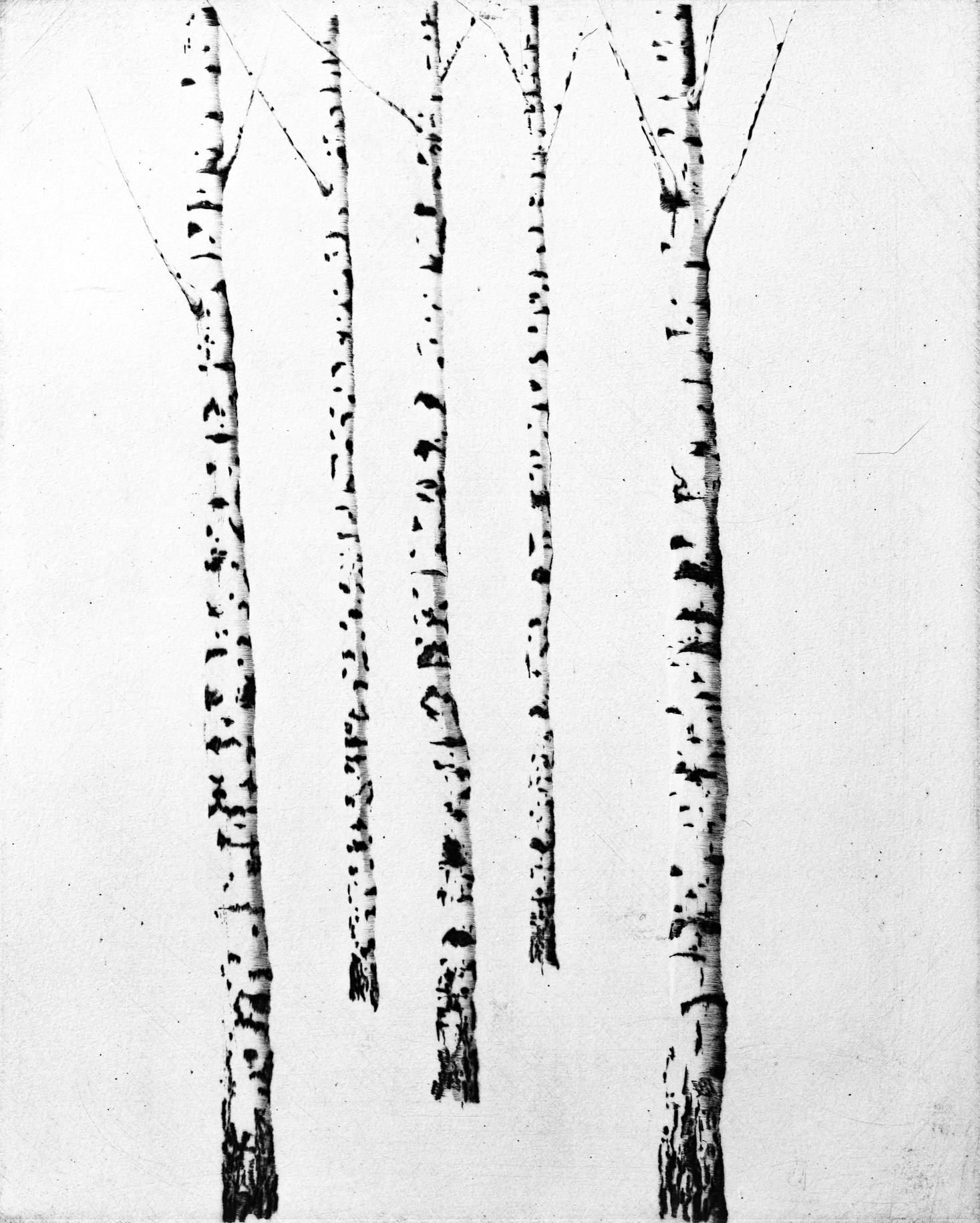 K Repros Hannes 2025 Beschnitten Sw 1