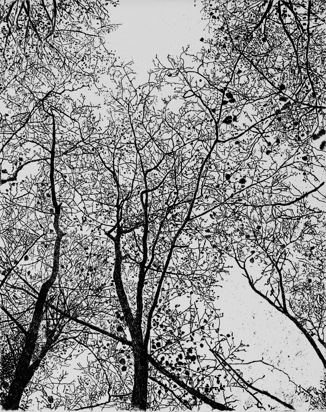 K Repros Hannes 2025 Beschnitten Sw 6