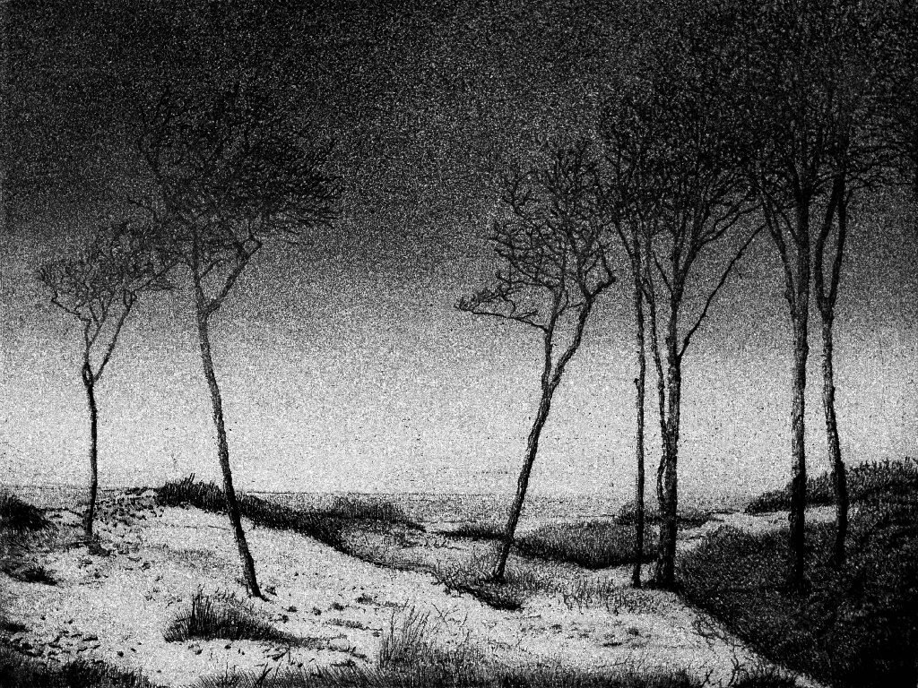 K Repros Hannes 2025 Beschnitten Sw 3