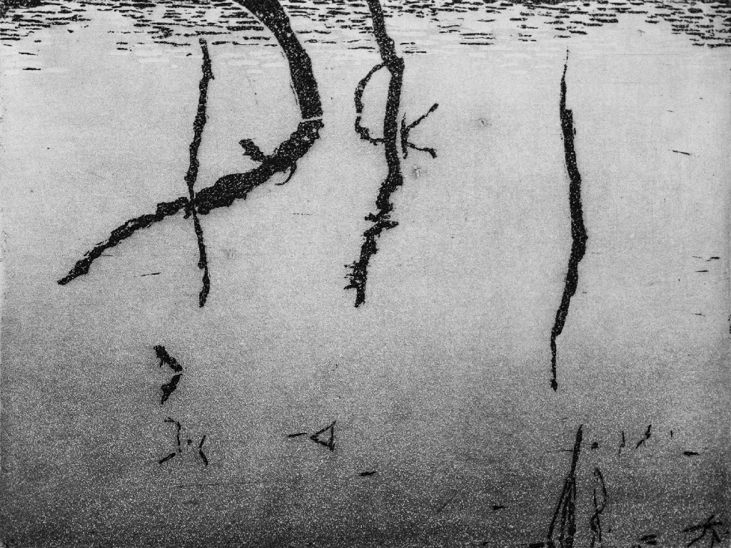 K Repros Hannes 2025 Beschnitten Sw 4